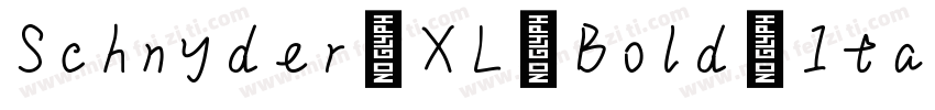 Schnyder XL Bold Italic字体转换